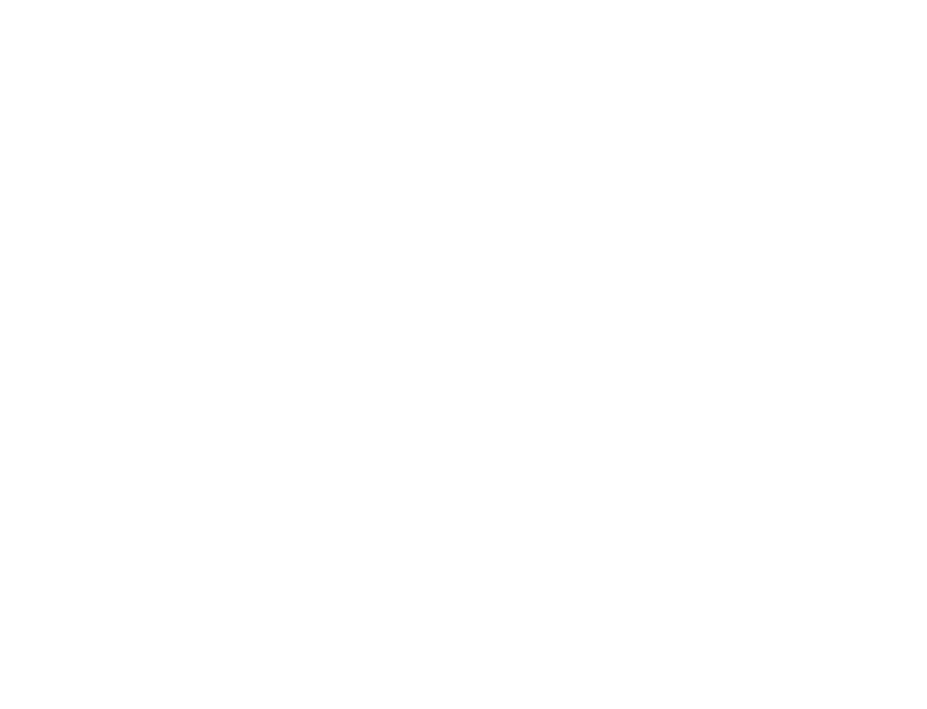90th Meridian White Logo